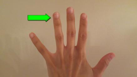 ring finger.web.jpg